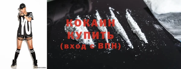 прущие грибы Балабаново