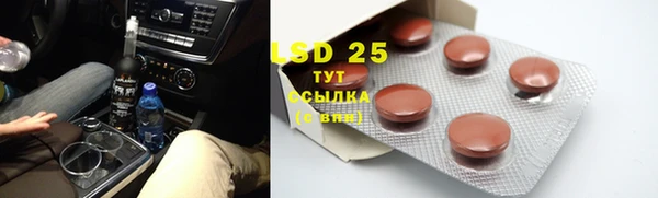 прущие грибы Балабаново