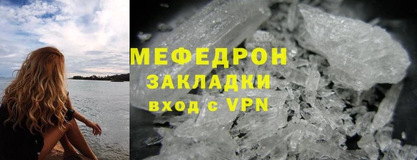 прущие грибы Балабаново